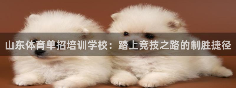 耀世集团董事长耀阳：山东体育单招培训学校：踏上竞技之
