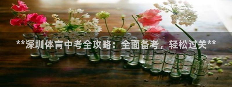 耀世汽车：**深圳体育中考全攻略：全面备考，轻松过关
