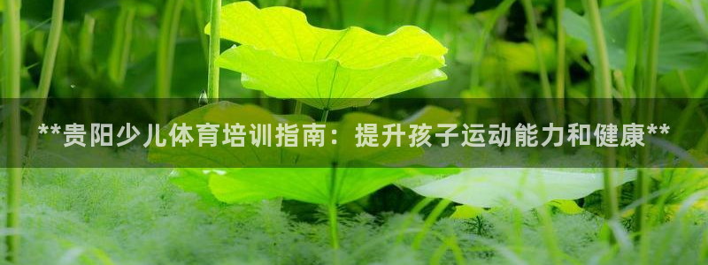 耀世娱乐返点多少钱：**贵阳少儿体育培训指南：提升孩