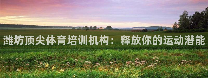 耀世天下和如日中天哪个好：潍坊顶尖体育培训机构：释放