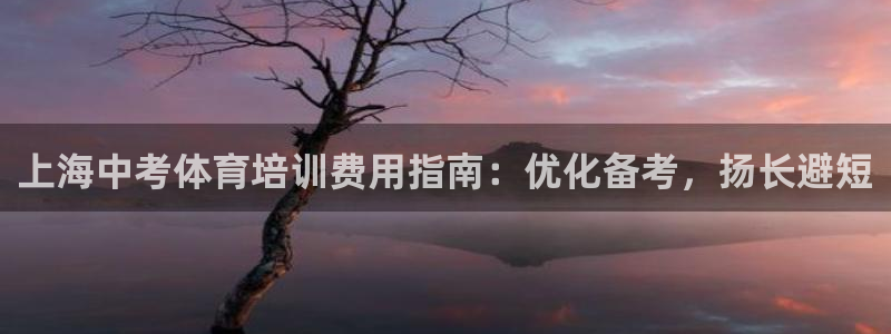 耀世娱乐下载链接安装：上海中考体育培训费用指南：优化