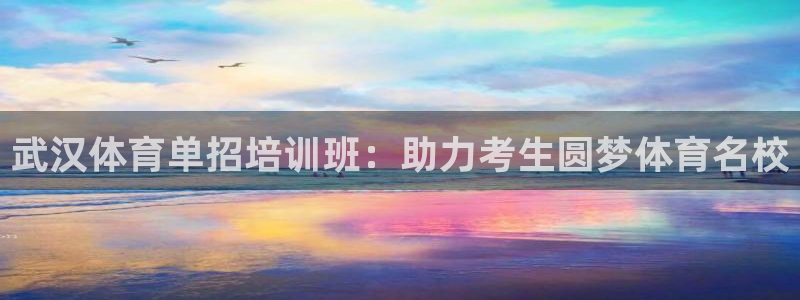 耀世平台云 411o31 耀世：武汉体育单招培训班：