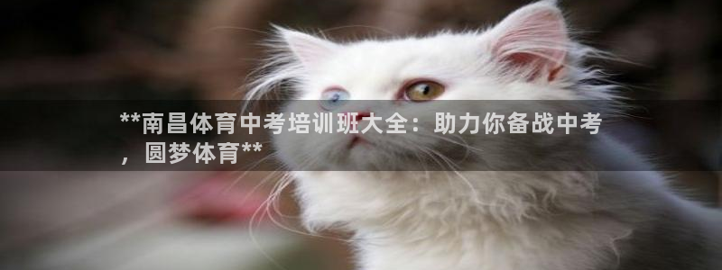 耀世什么意思：**南昌体育中考培训班大全：助力你备战