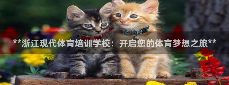 耀世娱乐平台注册地址在哪里看：**浙江现代体育培训学