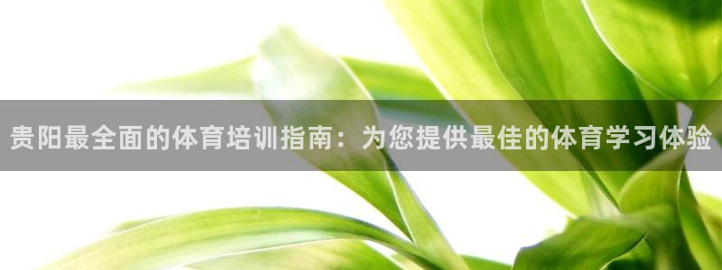 耀世平台云 411o31 耀世：贵阳最全面的体育培训