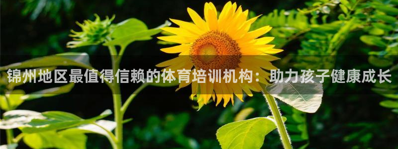 耀世天下图片大全：锦州地区最值得信赖的体育培训机构：