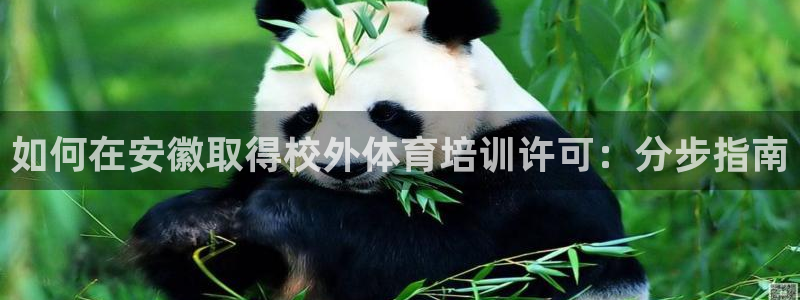 耀世娱乐怎么注册不了：如何在安徽取得校外体育培训许可