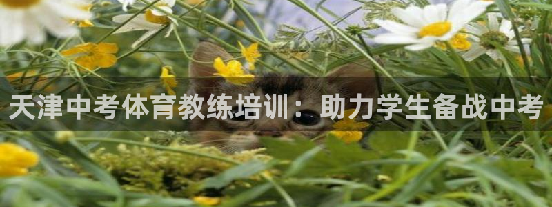 耀世娱乐是正规还是仿真：天津中考体育教练培训：助力学
