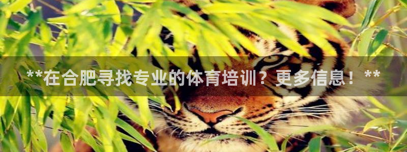 耀世娱乐出款快吗：**在合肥寻找专业的体育培训？更多
