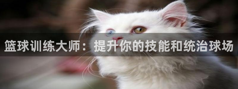 耀世娱乐腾讯分分彩：篮球训练大师：提升你的技能和统治