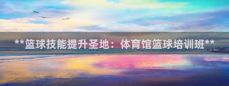 耀世娱乐客服怎么样：**篮球技能提升圣地：体育馆篮球
