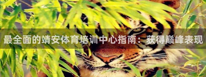 耀世娱乐注册资金多少：最全面的靖安体育培训中心指南：