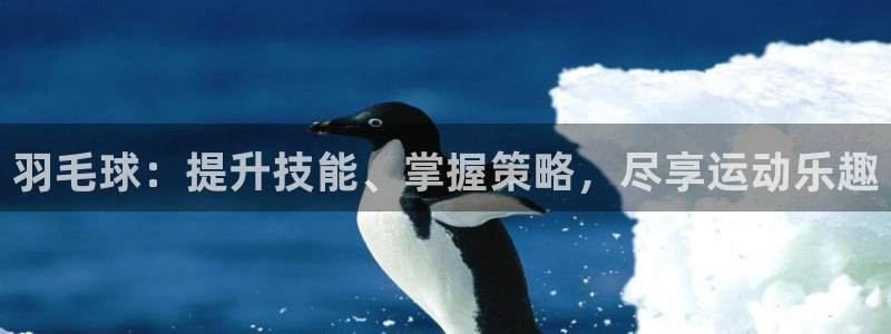耀世娱乐脚本下载官网：羽毛球：提升技能、掌握策略，尽