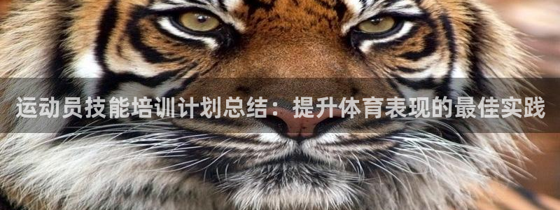 耀世娱乐挂机脚本怎么用