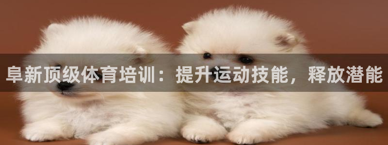 耀世天下怎么接：阜新顶级体育培训：提升运动技能，释放