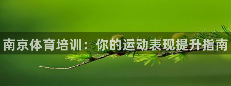 耀世成语：南京体育培训：你的运动表现提升指南