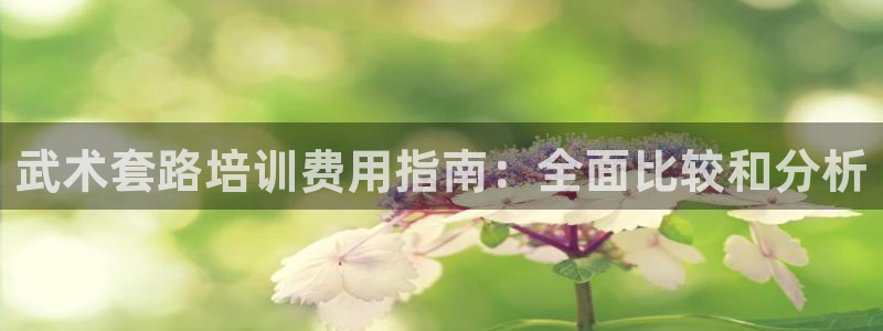 耀世平台代理：武术套路培训费用指南：全面比较和分析