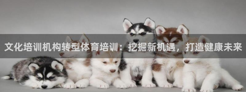 耀世娱乐登陆地址查询：文化培训机构转型体育培训：挖掘