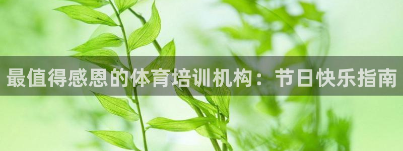 耀世娱乐百科：最值得感恩的体育培训机构：节日快乐指南