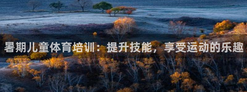 耀世娱乐含山设备：暑期儿童体育培训：提升技能，享受运
