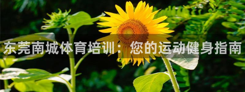 耀世天下图片头像：东莞南城体育培训：您的运动健身指南
