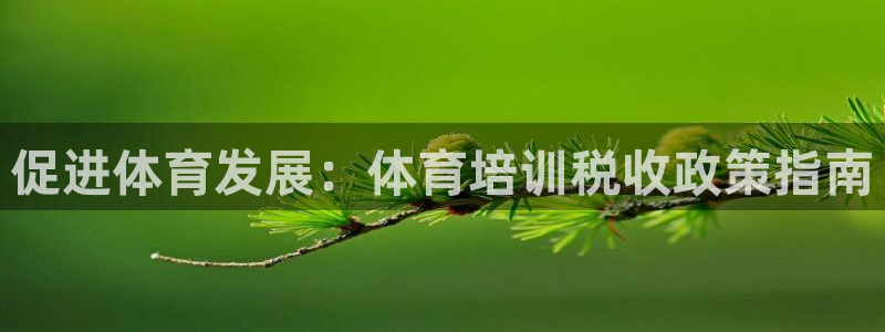 耀世平台哪个彩种是公平彩中的：促进体育发展：体育培训税收政策