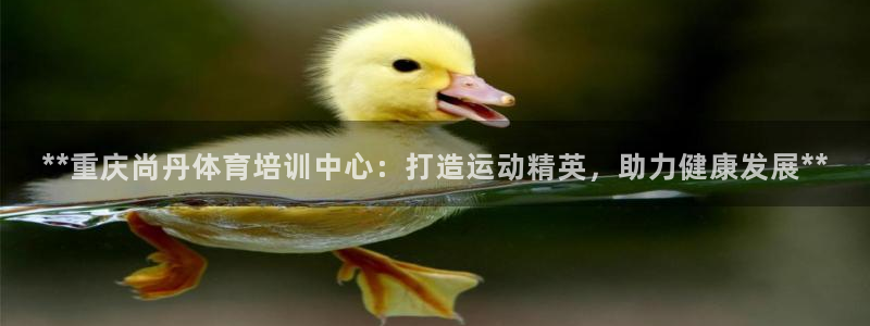 耀世平台代理多少钱一个：**重庆尚丹体育培训中心：打