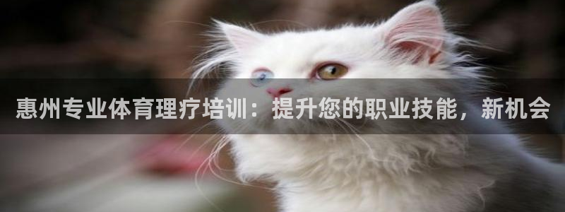 耀世娱乐平台注册地址在哪里看：惠州专业体育理疗培训：