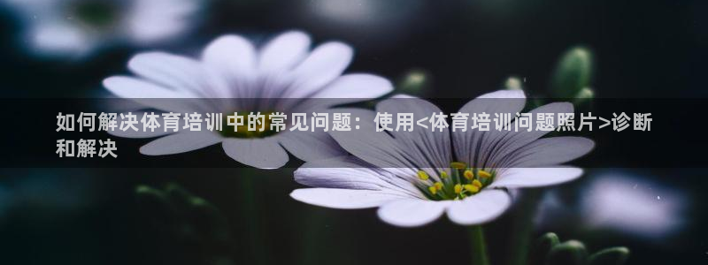 耀世集团耀哥：如何解决体育培训中的常见问题：使用<体育培训问
