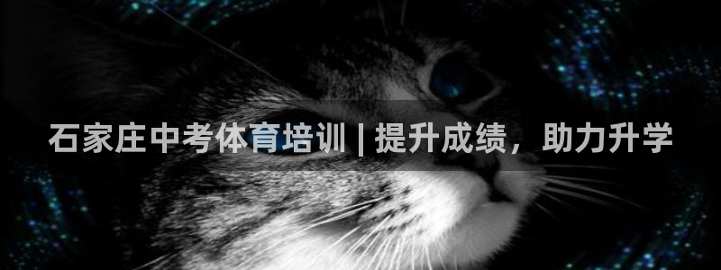 耀世娱乐代理什么待遇可以做：石家庄中考体育培训 | 