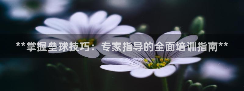 耀世娱乐app下载安装：**掌握垒球技巧：专家指导的