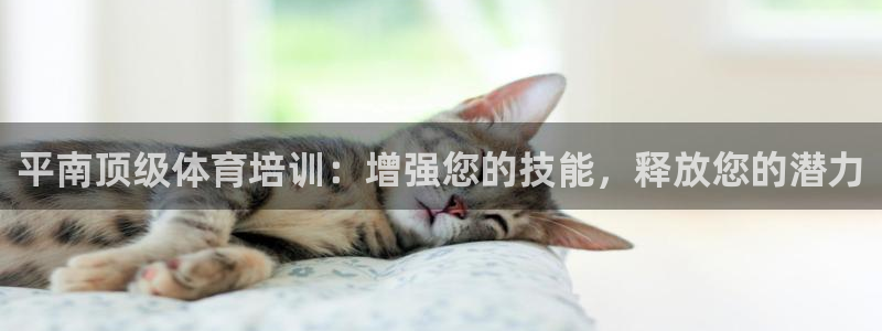 耀世捷科技：平南顶级体育培训：增强您的技能，释放您的