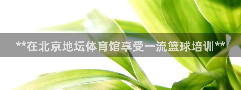 耀世平台可 585341 平台：**在北京地坛体育馆