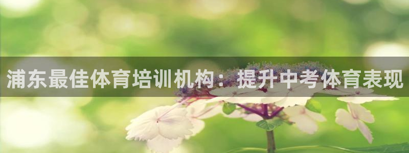 耀世游戏：浦东最佳体育培训机构：提升中考体育表现