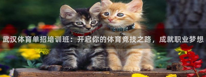 耀世辉煌：武汉体育单招培训班：开启你的体育竞技之路，