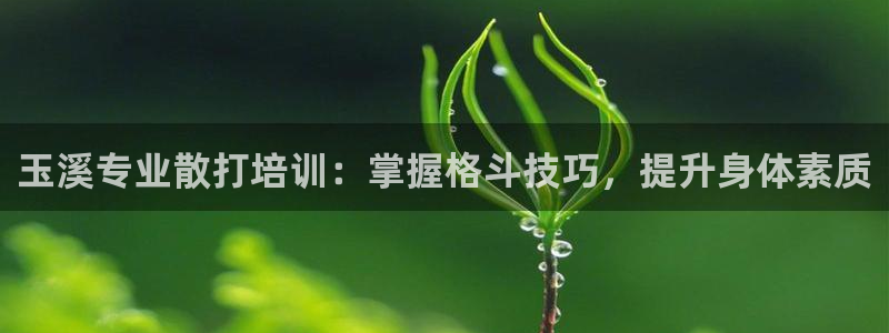 耀世平台遇 411o31 平台：玉溪专业散打培训：掌