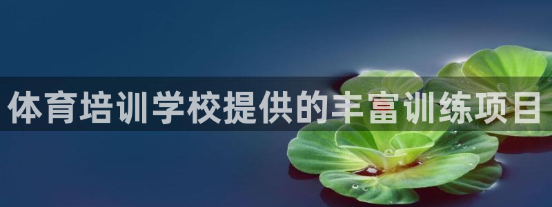 耀世娱乐腾讯分分彩：体育培训学校提供的丰富训练项目