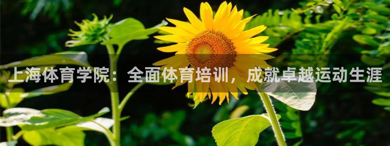 耀世娱乐在线登录官网入口网址：上海体育学院：全面体育培训，成