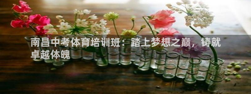耀世是什么车：南昌中考体育培训班：踏上梦想之巅，铸就