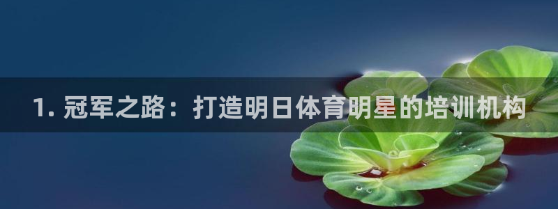 耀世平台代理多少钱一个：1. 冠军之路：打造明日体育
