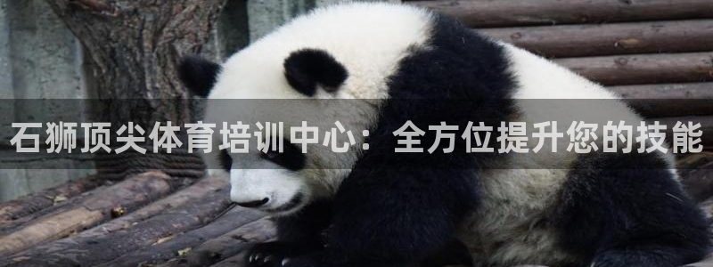 耀世天下的微信名字好吗：石狮顶尖体育培训中心：全方位