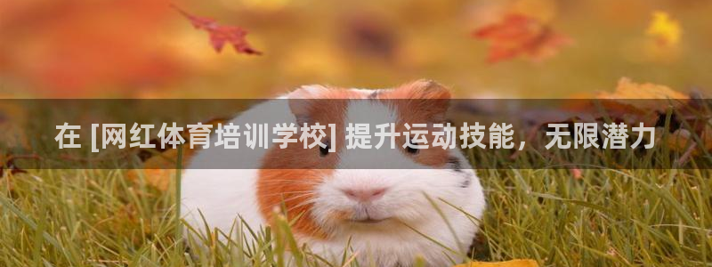 耀世娱乐能提现到微信吗：在 [网红体育培训学校] 提