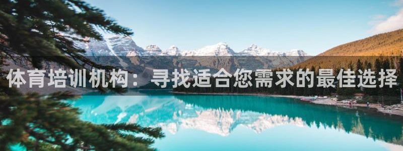 耀世平台下载：体育培训机构：寻找适合您需求的最佳选择