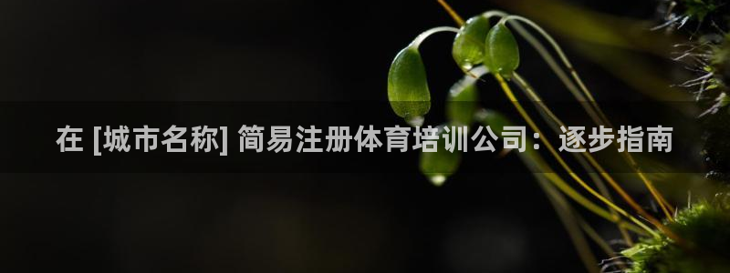 耀世集团做什么的：在 [城市名称] 简易注册体育培训公司：逐