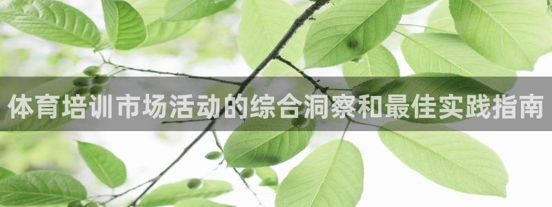 耀世娱乐注册开户要钱吗：体育培训市场活动的综合洞察和最佳实践