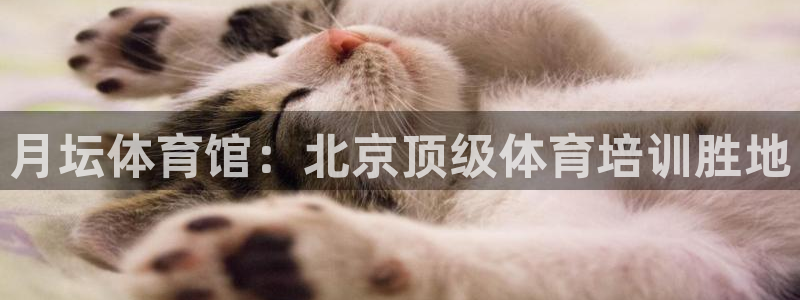 耀世平台app下载官网：月坛体育馆：北京顶级体育培训胜地