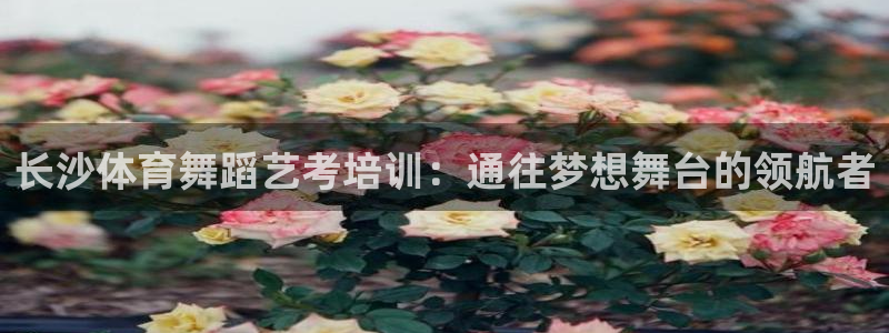 耀世娱乐app下载安装最新版：长沙体育舞蹈艺考培训：通往梦想