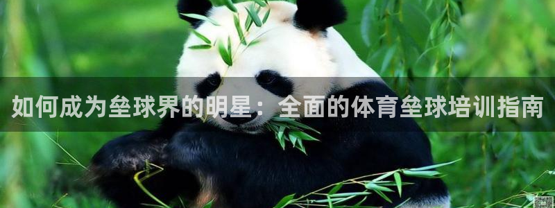 耀世娱乐平台官网登录不了：如何成为垒球界的明星：全面的体育垒