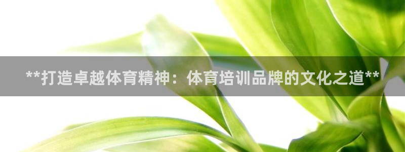 耀世娱乐总代理是谁：**打造卓越体育精神：体育培训品牌的文化