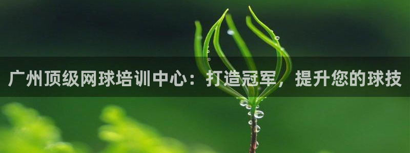 耀世天下是不是复仇的意思：广州顶级网球培训中心：打造